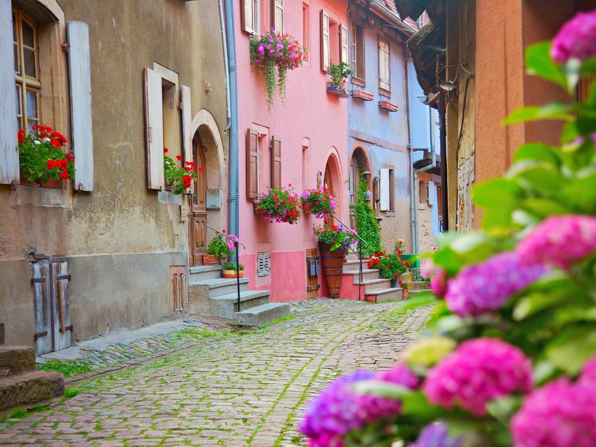 L'Atypique D'Eguisheim Apartment Bagian luar foto